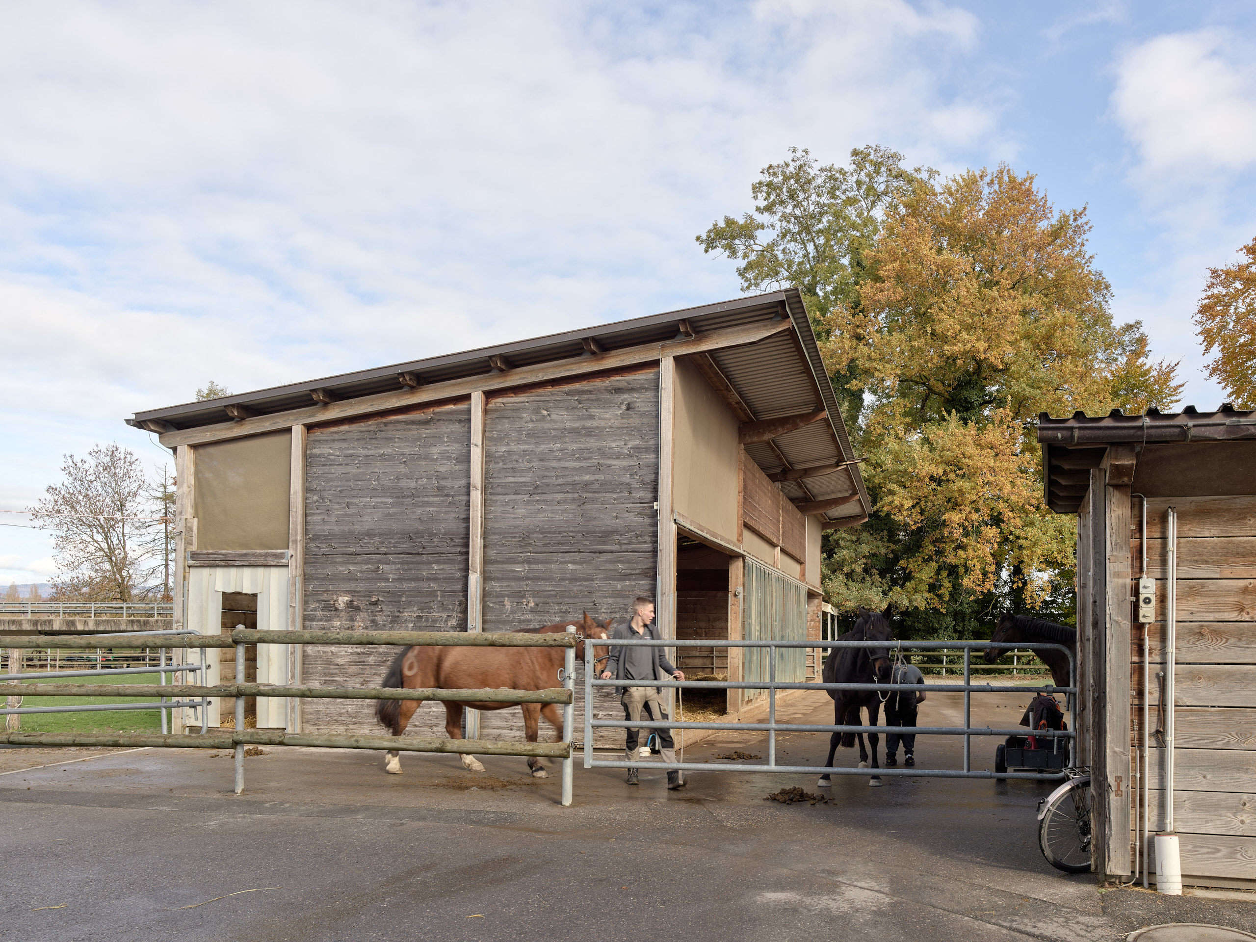 Haras National